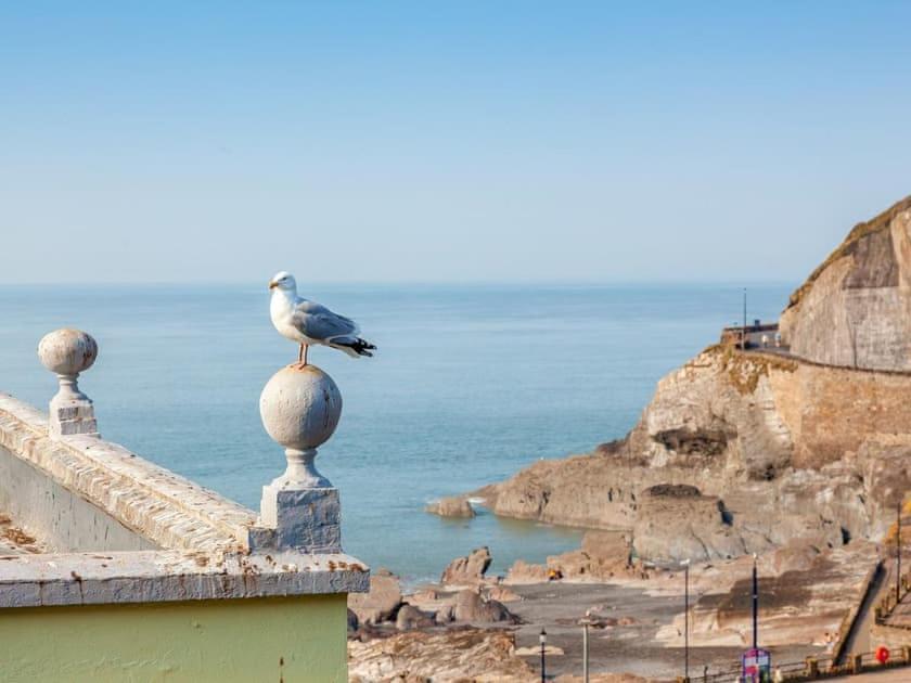 2Thevilla - Great Views, 3 Bedrooms, Parking, Central Location Ilfracombe Extérieur photo